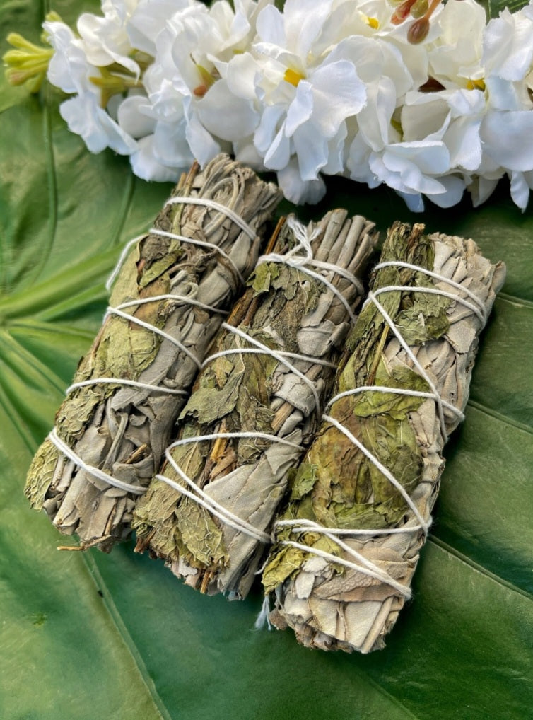 Peppermint & White Sage and Palo Santo Bundle